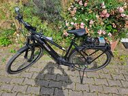 eBike Radon 8.0 - Troisdorf