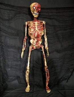 Halloween Deko Zombie Skelett Leiche Horror grusel - Schnürpflingen