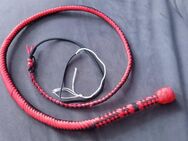 Miniature Pocket Sized Bullwhip -Miniatur-Bullenpeitsche 3 fuß - Schmölln