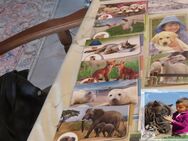 Tierkarten zu verschenken - Stuttgart