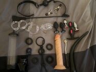 Suche strap on Lady in Braunschweig - Hannover