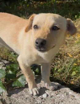 Mira 💗 fröhlicher, lieber Sonnenschein! - Hamburg