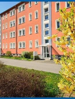 Im grünen Wohnumfeld wohnen - Riesa