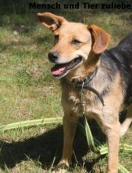 Flora sucht Liebe und Sicherheit - Berlin