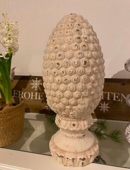 KONIFERENZAPFEN CLAYRE&EEF - Hagen (Teutoburger Wald)