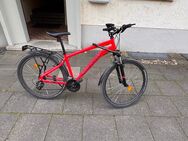 Fahrrad - Recklinghausen