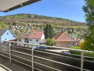 2-Zimmer-Wohnung mit Balkon UND Garten - Heidelberg