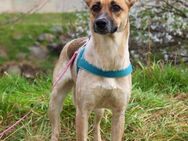 Amina❤️sucht Pflege- oder Endstelle - Rott (Inn)