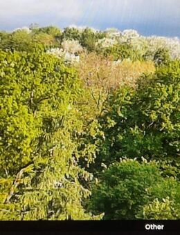 2 Zi Dachgeschoss zum Park 72qm - Berlin