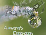 Amaras Essenzen, Räucherwerk, Seele, Meditation - Lünen