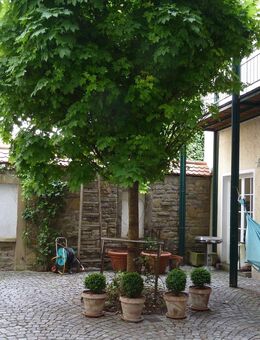 Penthouse mit Terrasse in ruhiger Lage - Schweinfurt