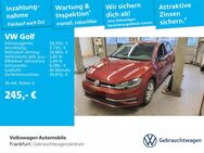 VW Golf, 1.5 TSI VII IQ DRIVE, Jahr 2019 - Frankfurt (Main)