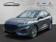 Ford Kuga, 2.5 ST-Line X FHEV Sportpaket digitales, Jahr 2023 - Bremerhaven