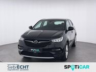 Opel Grandland X, 1.6 Elegance Hybrid, Jahr 2021 - Uslar