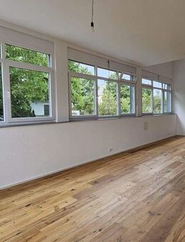 Frisch renovierte Wohnung mit schönen hohen Decken und Loft-Charakter in ruhiger Lage in Singen zu vermieten - Singen (Hohentwiel)