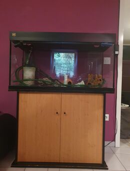 Juwel Aquarium mit Unterschrank ind sehr viel Zubehör - Fröndenberg (Ruhr)