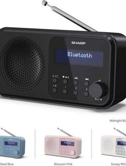 Sharp DR-P420 Radio (Digitalradio (DAB), FM-Tuner mit RDS, 2 W)