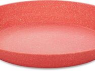 KOZIOL Suppenteller CONNECT PLATE, (4 St), biozirkuläremKunststoff+FSCHolz,spülmaschinengeeignet,melaminfrei,24cm