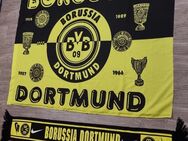 Borussia Dortmund Schal original Fan Fahne Rarität von 1990 +1997, Nike Version , sehr selten - Verden (Aller)
