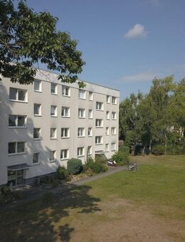 Erstbezug nach Sanierung - Home-Office "READY" - Familienfreundlich - Rodgau