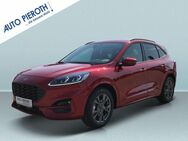 Ford Kuga 1.5 EcoBoost ST-LINE X - Bingen (Rhein)