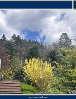 Lichtdurchflutete DG-Wohnung mit traumhaftem Ausblick - Neckarsteinach