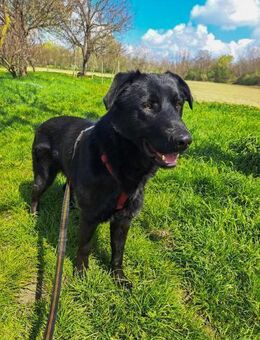 Pascal Freund fürs Leben - Obertshausen