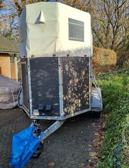 2 Pferdeanhänger/Viehtransporter - Stade (Hansestadt)