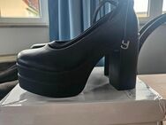 Plateau Pumps - Hamburg