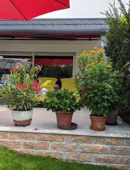 RSI Invest bietet an: Gepflegtes 1Familienhaus in ruhiger Lage - Ludwigshafen (Rhein)