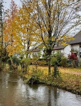*** Emmendingen, 5Zi Maisonette Galerie Wohnung, idyllisch am Bach, 2 Süd Terrassen, Komf. EBK, Design Bad, 2 Stellpl., viele Neuteile,*** - Emmendingen