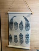 LEINEN-BILD in 49170