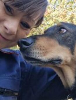 Zuhause gesucht für Brownie - Oberhausen