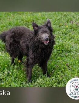 Priska: Für Menschen mit Herz - Kirchzell