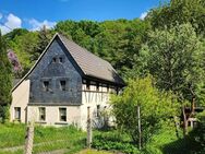 **HOMEOFFICE MIT BURGBLICK** - Frohburg Eulatal