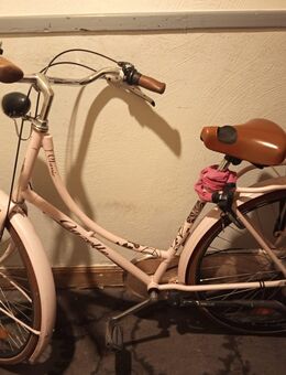26 Zoll Gazelle - Krefeld