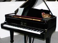 Flügel Klavier Steinway & Sons A-188, schwarz poliert, 5 Jahre Garantie - Egestorf