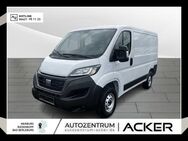 Fiat Ducato, 33 140 Multijet L1 Techno City-P, Jahr 2023 - Marburg