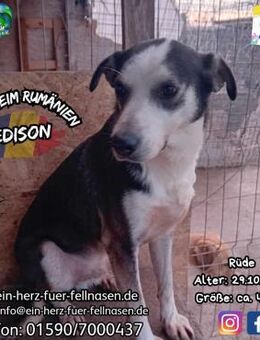 EDISON - möchte DEIN Pluspol werden - Waakirchen