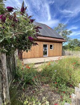 3 Zimmerwohnung mit 2 Terrassen - Reppenstedt