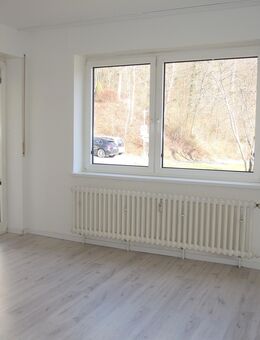Ruhig gelegenes renoviertes 1,5-Zimmer Apartment ca. 38 m² zu vermieten ++Balkon / kleine Küche / Kellerabteil++ - Bad Brückenau