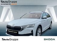 Skoda Octavia, 2.0 TDI Combi W Selection, Jahr 2024 - Gummersbach