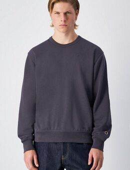 Champion Sweatshirt ICONS TONAL Terry Crewneck Sweatshirt (1-tlg)