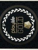 Playlife Skateboard Heavy Metal Gold in 00000