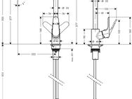 hansgrohe Küchenarmatur Focus M41 280 1 Strahlart