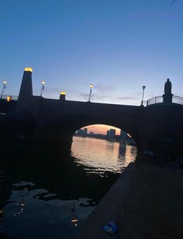 Zuverlässige Hilfe gesucht? – Haushalt • Umzug • Garten • Einkaufen • Hund • Massage • Gesellschaft - Alsfeld