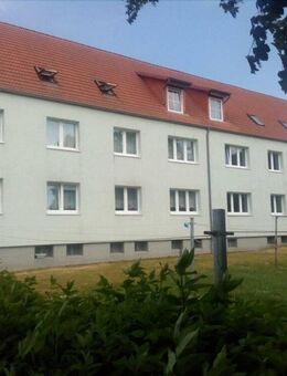 Hell, Ruhig, 3-Zimmer, Saniert, faire Miete - Lalendorf