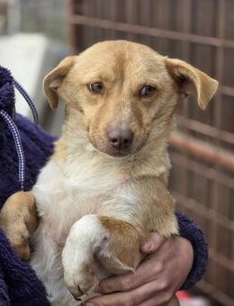 Andrea - ein Sonnenschein (I) - Ludwigshafen (Rhein)