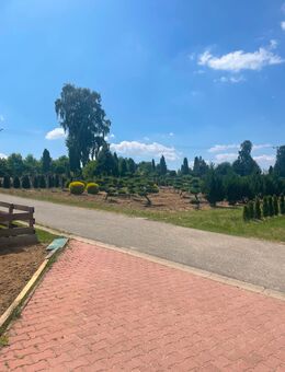 Schnelle und professionelle Arbeit - Regensburg