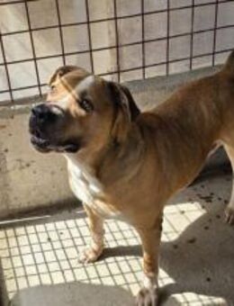 Trixi darf nicht nach Deutschland - München